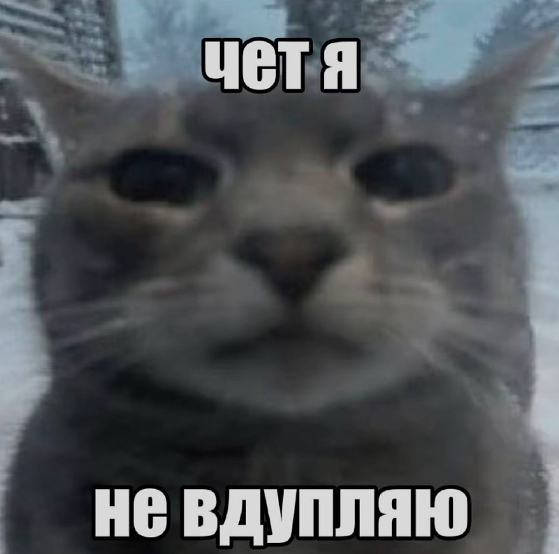 Ночная подборочка
Спать, режим