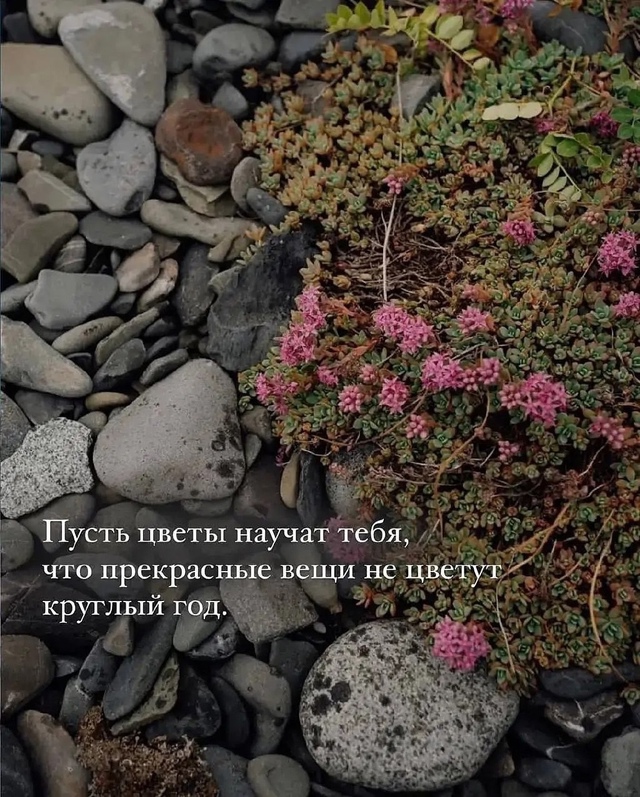 Учитесь у природы. Замечательные советы!