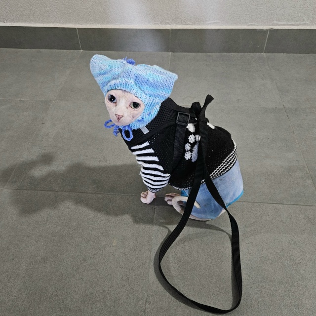 Ты в детстве уже одетый полчаса сидишь около двери, а м?...