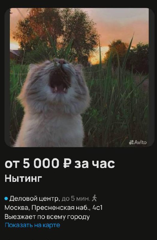 В Москве появился сервис «нытинг».
За 10к рублей любой желающий может прийти и выговориться, расск