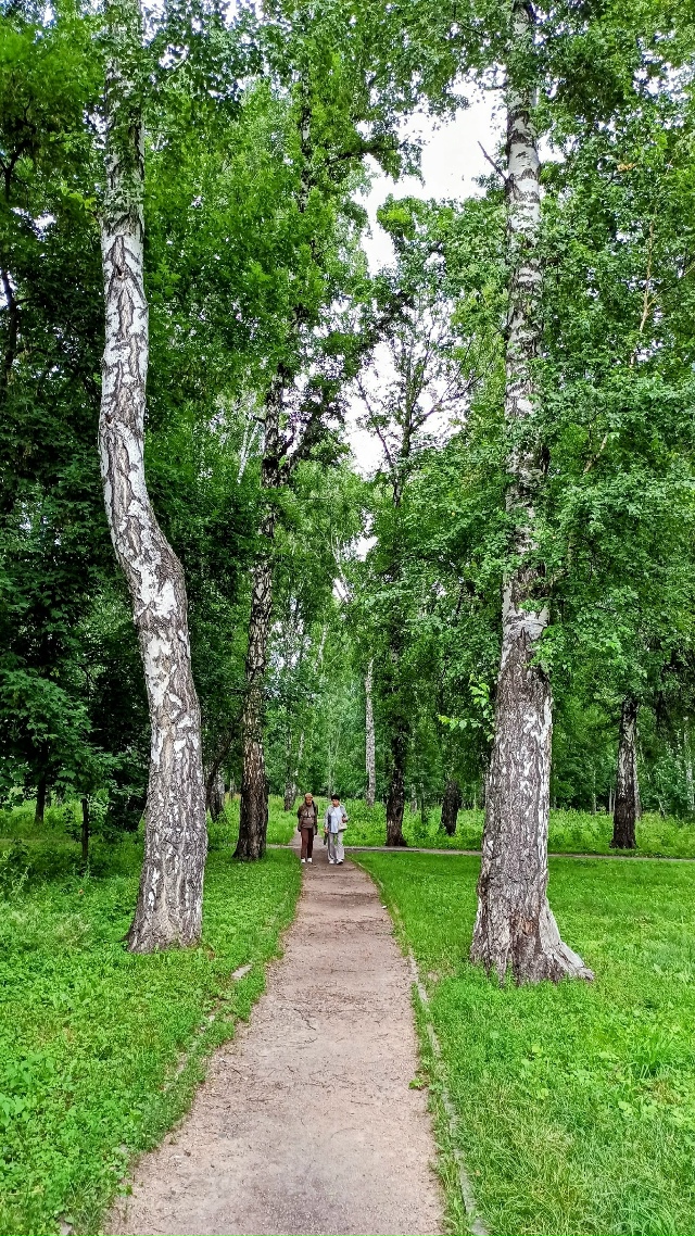Β пapкe Бepёзoвaя poщa. 🤗🌳🌳🌳🐿🐿🐿🐾