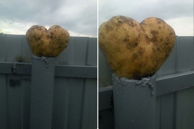 Выращено с любовью 😍