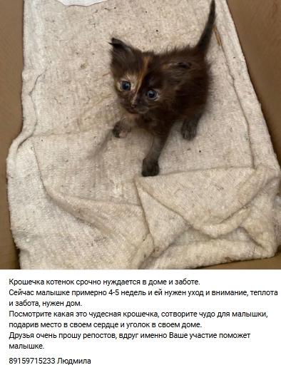 Пост добра. Распространите, пожалуйста.