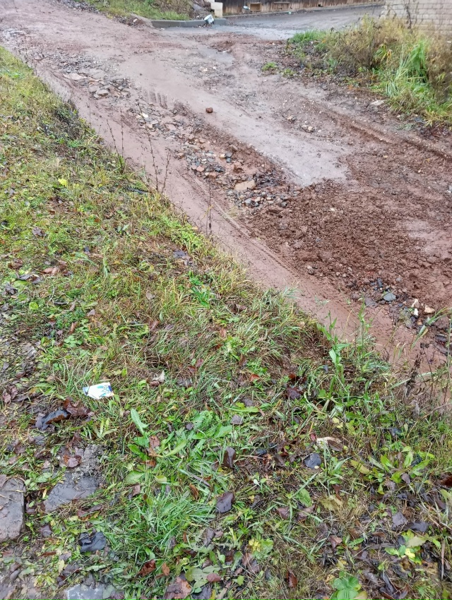 Уважаемая организация МАУ 