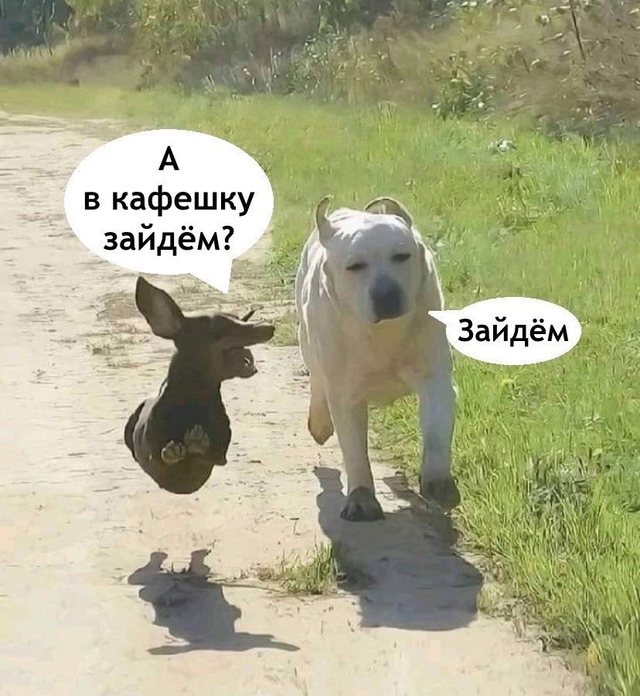 Обычная прогулка с мужем 😅