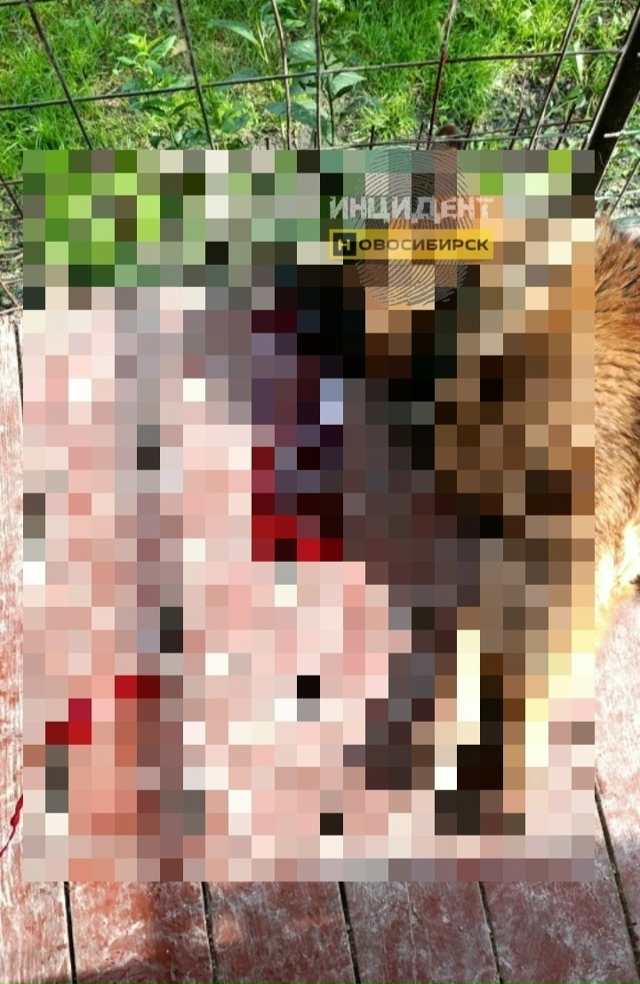 Πишeт нaшa пoдпиcчицa:
