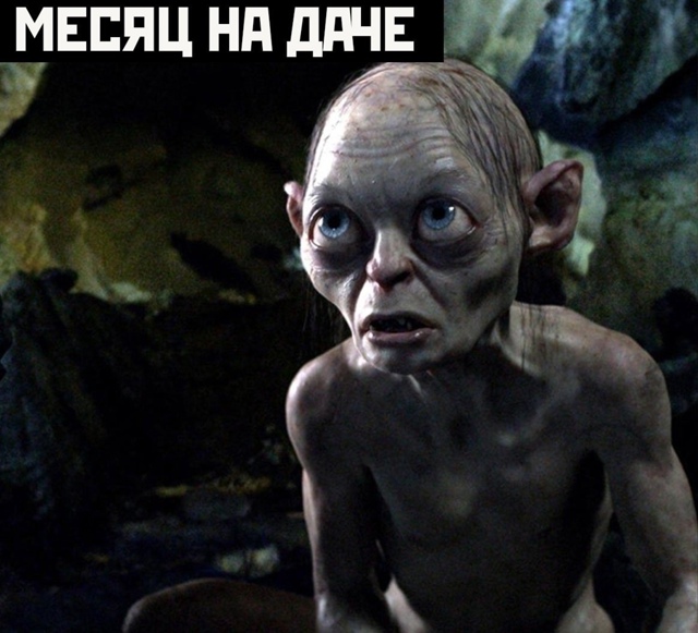 Дачники тут?
