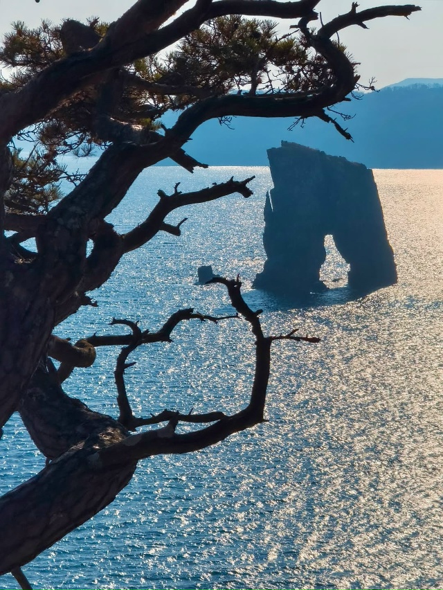 Мыс Сосновый, Приморье 🇷🇺