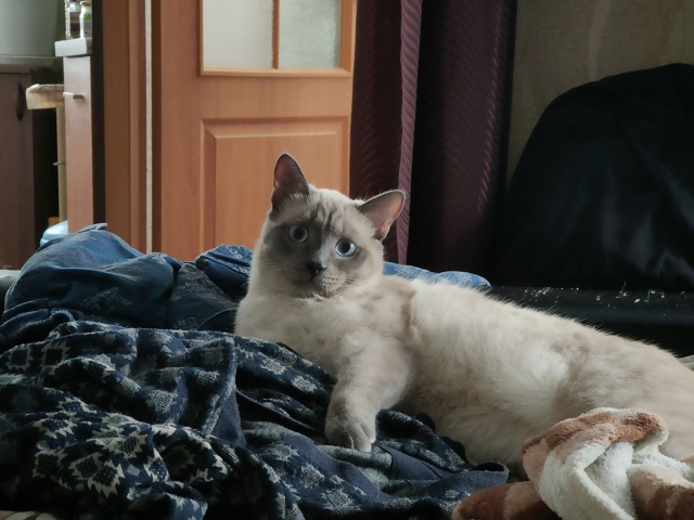 🦁Рубрика «Животные» #Животные@podslushanoperm
⠀
1) Продолжае?...