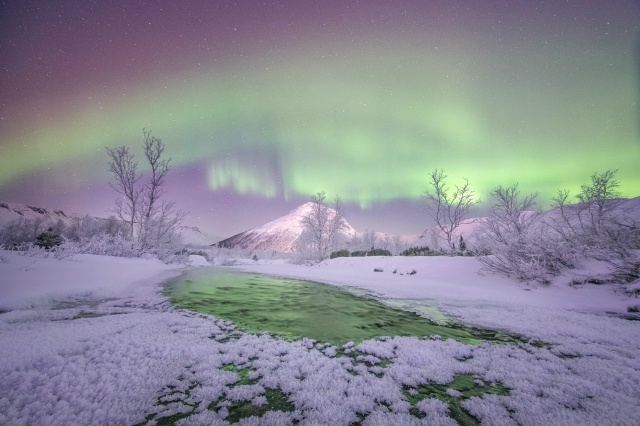 Снежный зефир.
Автор - [id14289069|Елена Ермолина]