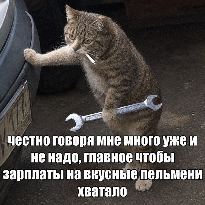 Утренняя подборочка