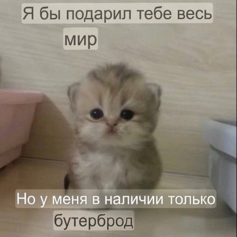 Утренняя подборочка
