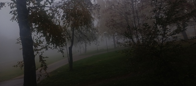 ☕ С добрым утром, Ковров!!! Анон