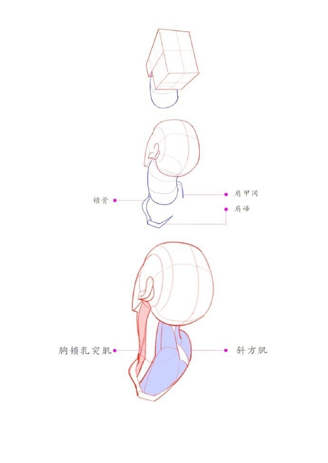 Голова
Tutorial