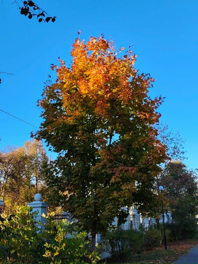 🍂🍁 Ковровская осень - красота! Анон