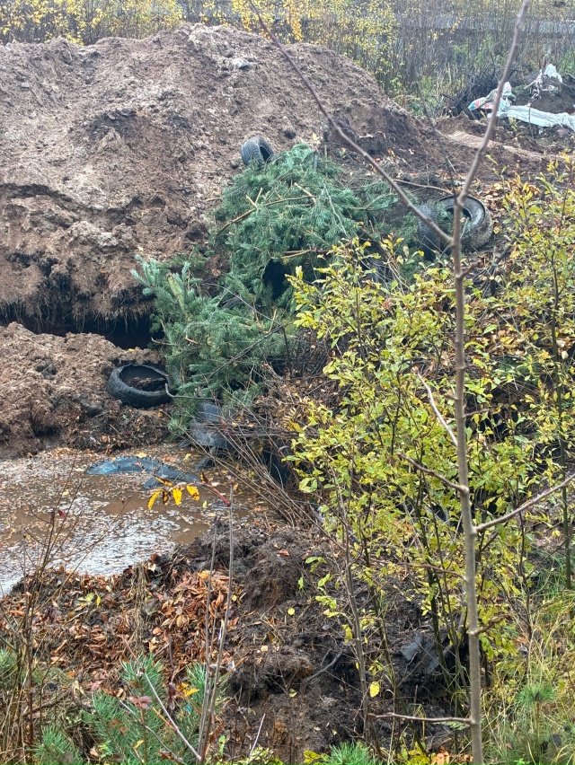 Добрый день! Может, кто знает- подскажИте, что за строит...