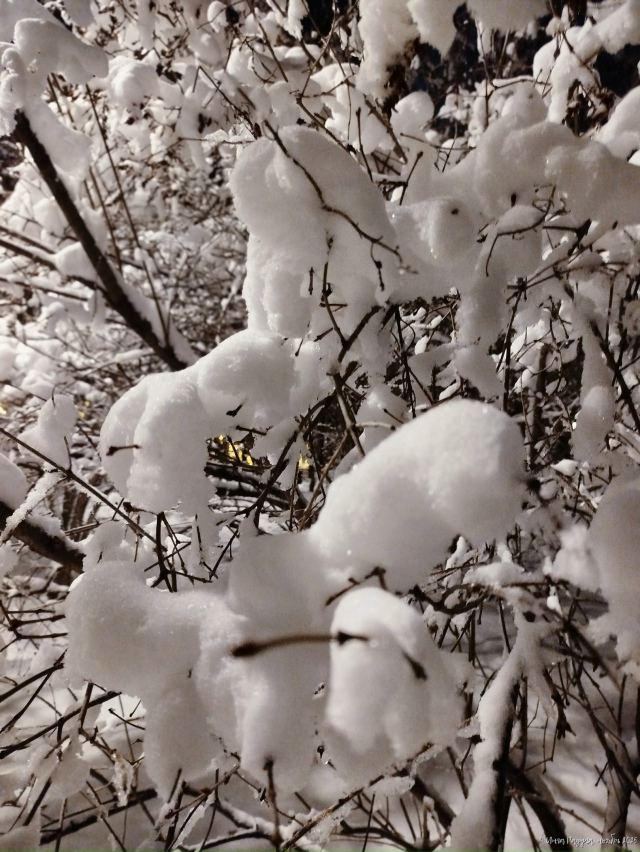 ✨ Зacнeжeнный нoябpьcкий вeчep в Πepвoмaйcкoм cквepe
Φoтo: Ингa Рa...