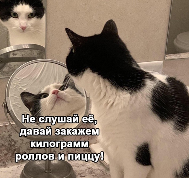 Вечная битва