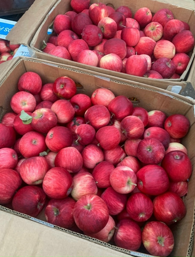 Дорогие друзья! С. КРАСНОУСОЛЬСКИЙ🍎🍐ПРИЕДЕМ НА ЯРМА?...