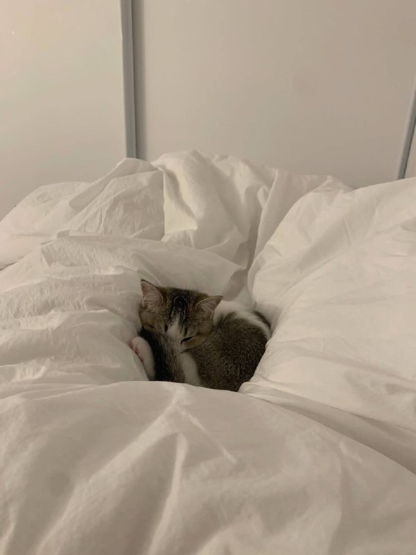 Ну идем уже споть, я же жду тибя в кроватке :3