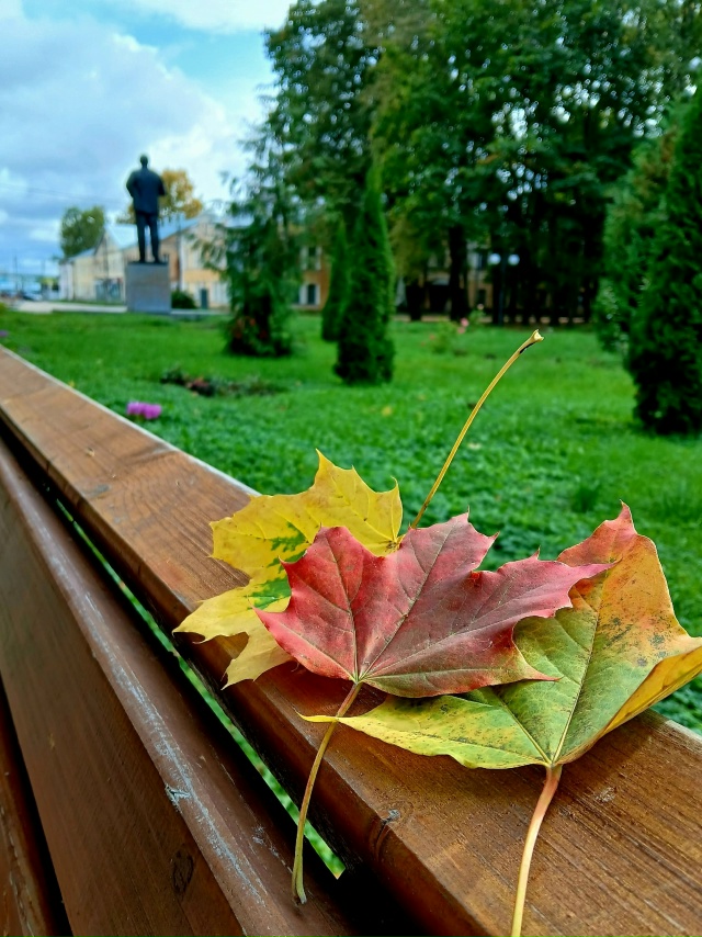 Осенний Осташков...