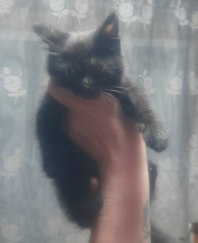 Начался сезон подкидышей. Пристраивается в добрые рук?...