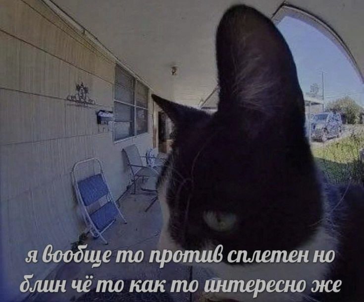 Ночная подборочка
Выходные, не спим