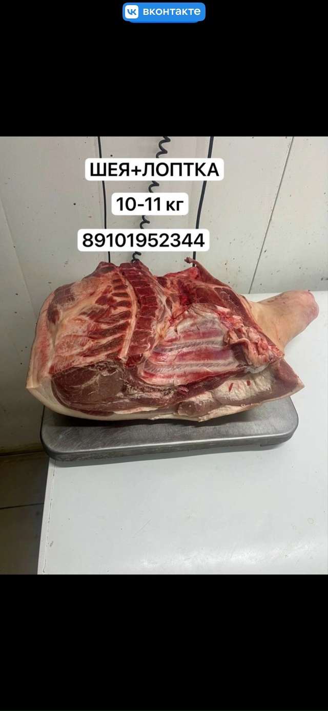 ☎️89101952344☎️
❣️ДРУЗЬЯ СВИНИНА СВЕЖАЯ🐷🐽❣️
❣️ДОС?...
