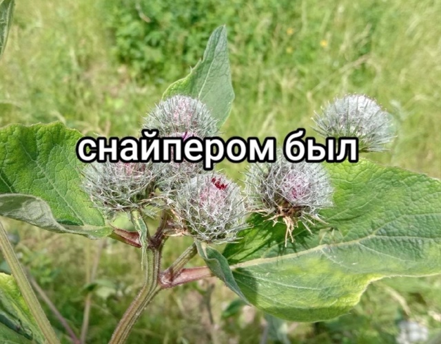 Жизненный опыт