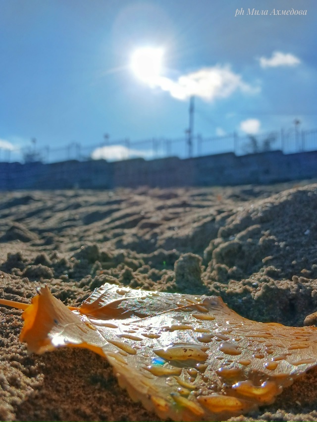 Отличная погода, 31 октября.🍁🌞