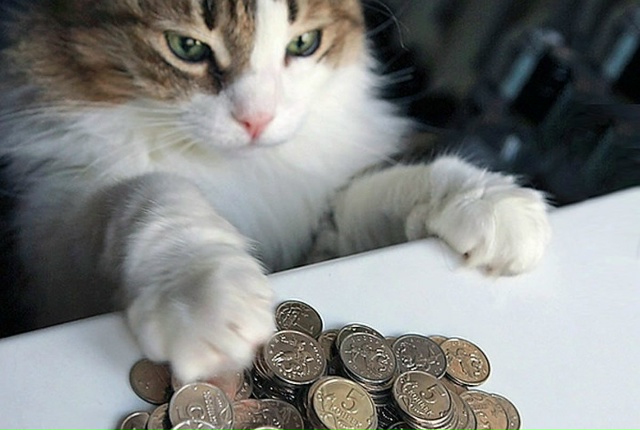 📊 Бюджет Коломны за 10 месяцев 2025 года: главные цифры
З...