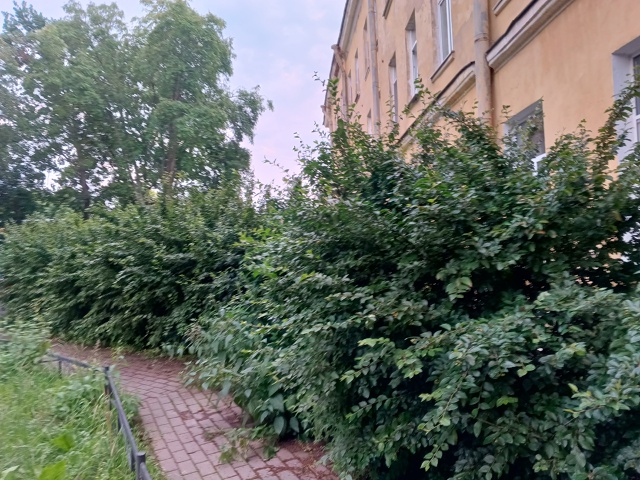 Вопрос к администрации!- заросшая детская площадка во ?...