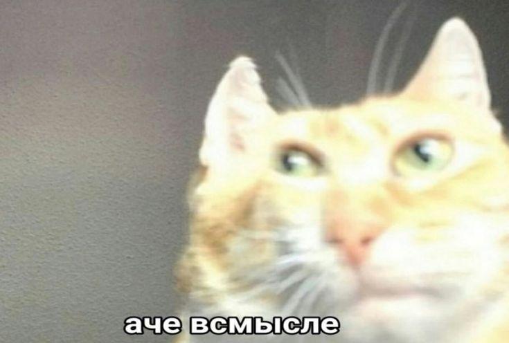 Импортные смартфоны могут остаться без 5G в России уже с 2032 года.
Минцифры планирует перейти на