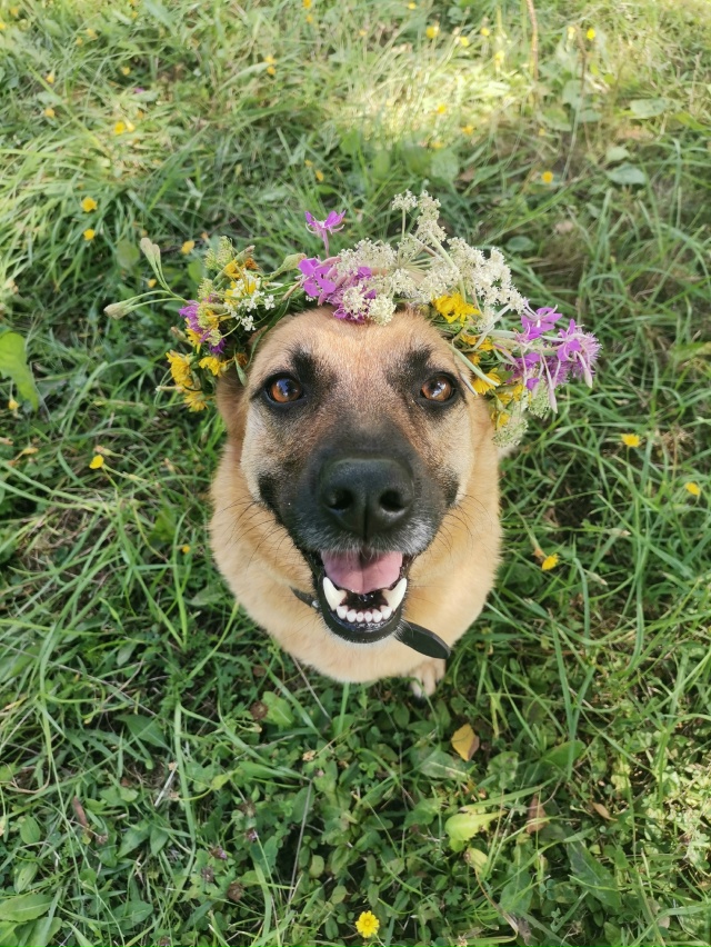 В поиске дома две очаровательные красотки-Дина и Джерр...