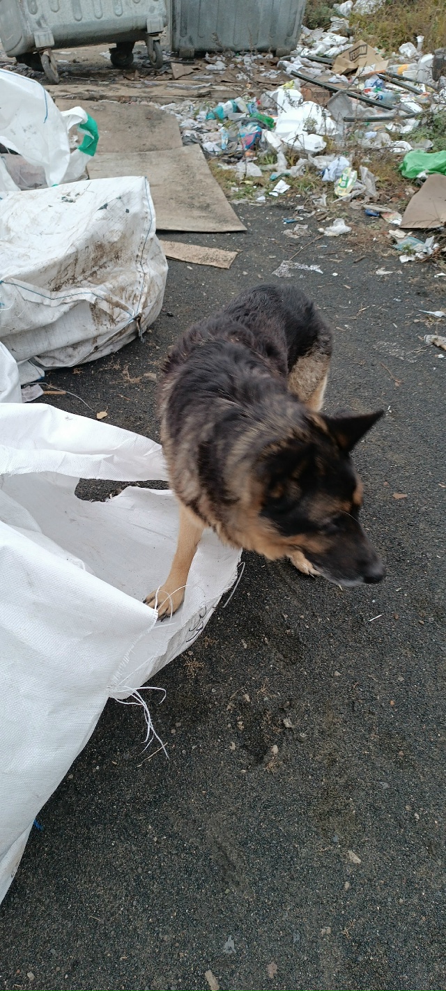 Выложите, пожалуйста. Может кто ищет. Ходит на СЧЗ. Анон...