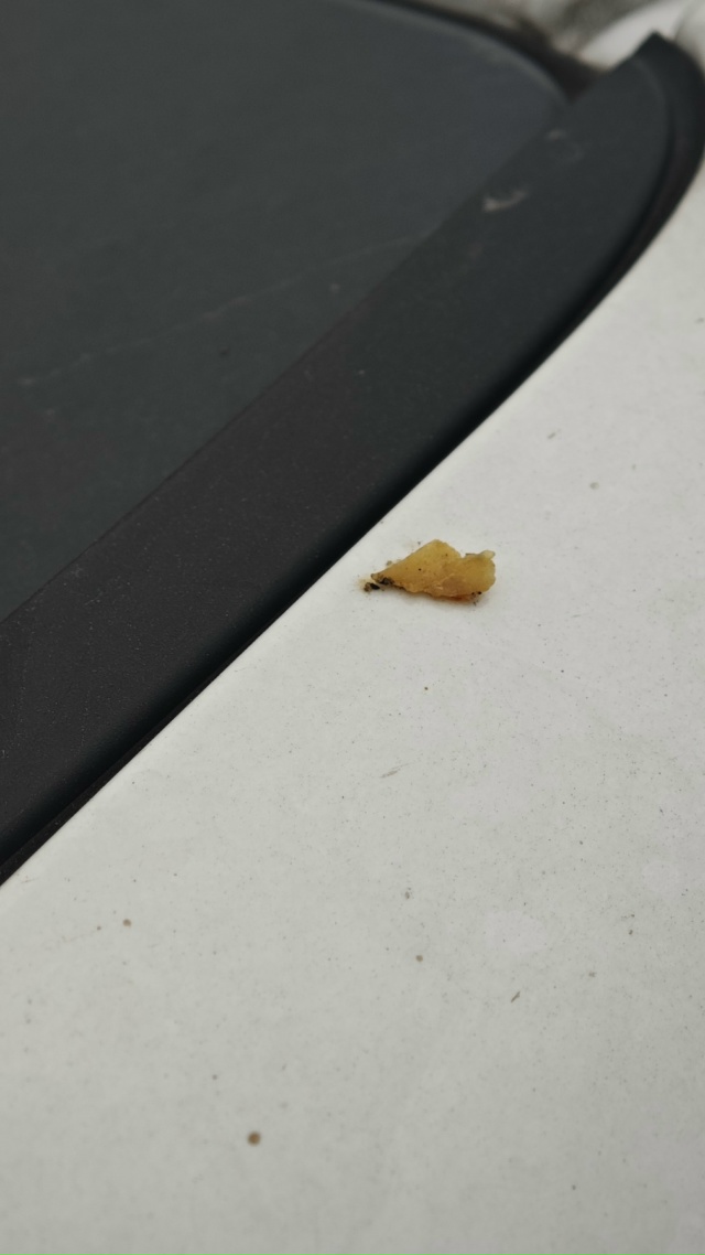 Уважаемые дяди и тёти, пожалуйста, не нужно кушать шау...