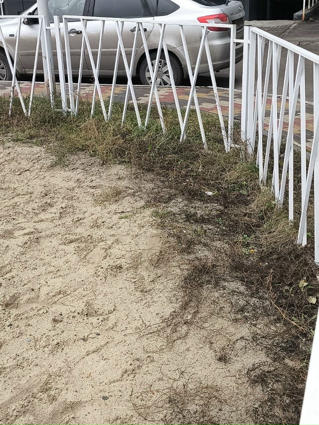 Роман Николаевич, директор управляющих компаний Спутн...