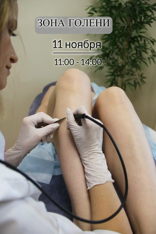 В связи с проведением обучения, требуются модели на эл?...