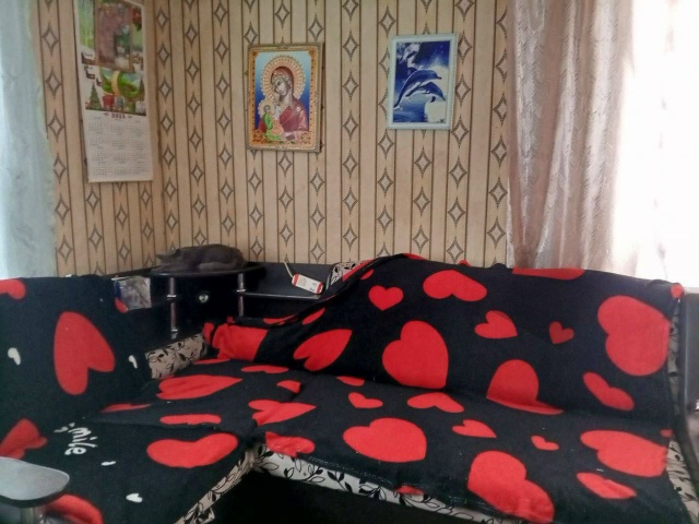 ⚡️ Два дня иcкали дeвятилетнего школьника. Он прятался...