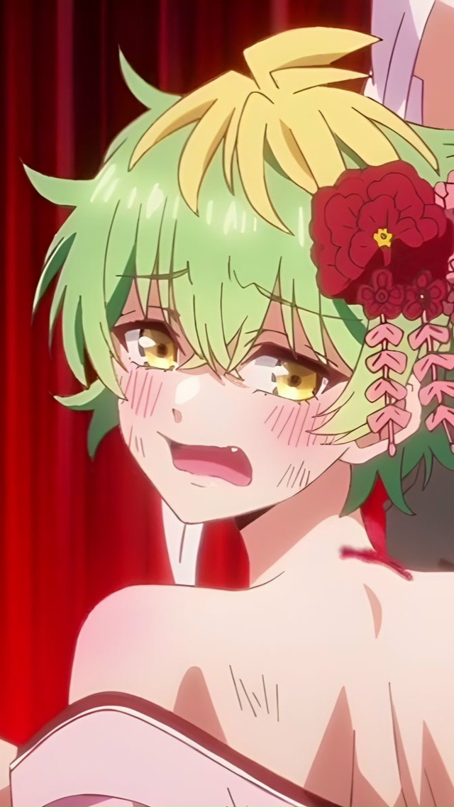 Аниме: Три сестры Микадоно оказались неожиданно прост?...