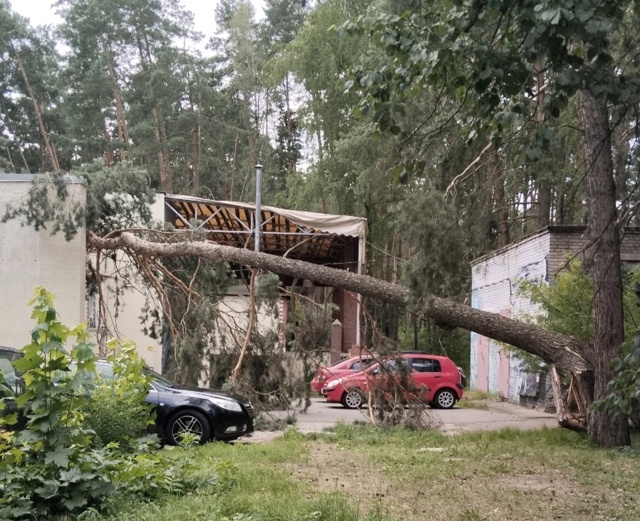 Упало дерево возле Кб