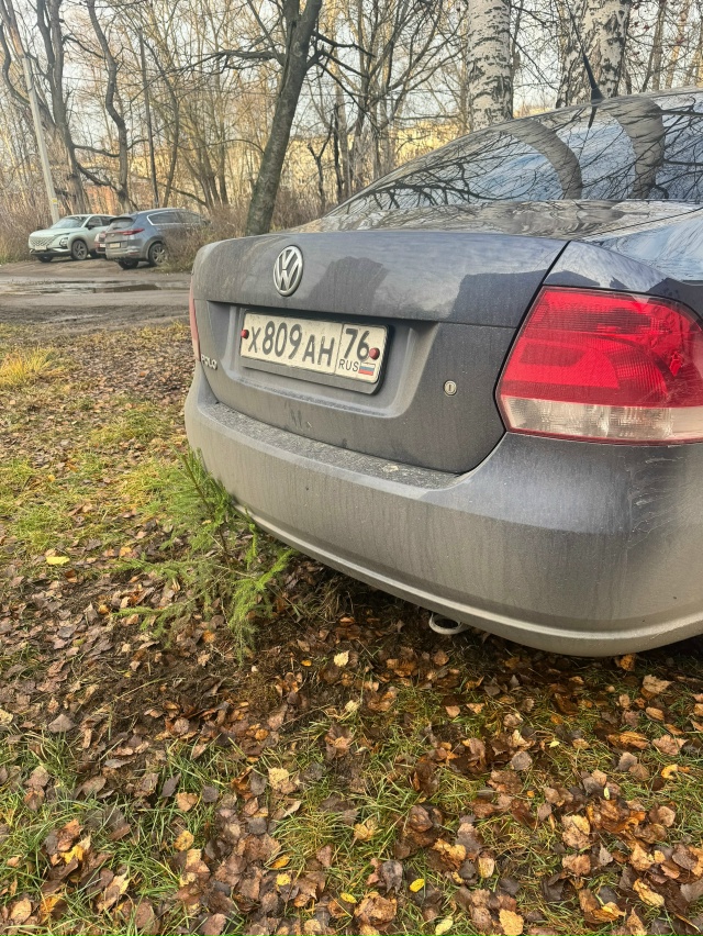 Жильцы посадили деревья во дворе, чтобы не ездили по га...
