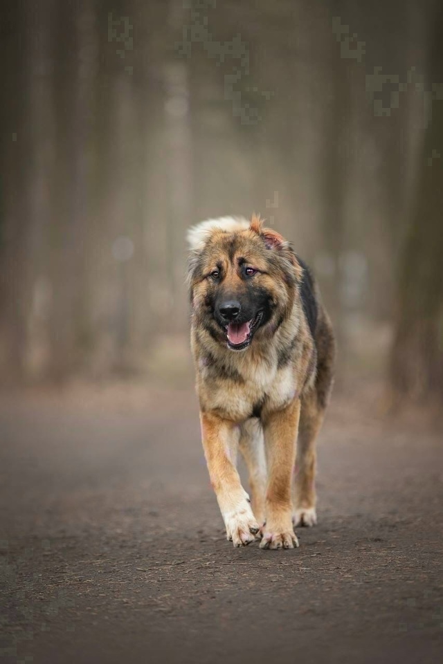 В ПОИСКЕ ДОМА В МОЖАЙСКЕ ОЧАРОВАТЕЛЬНАЯ КАПА💫
Капа д?...