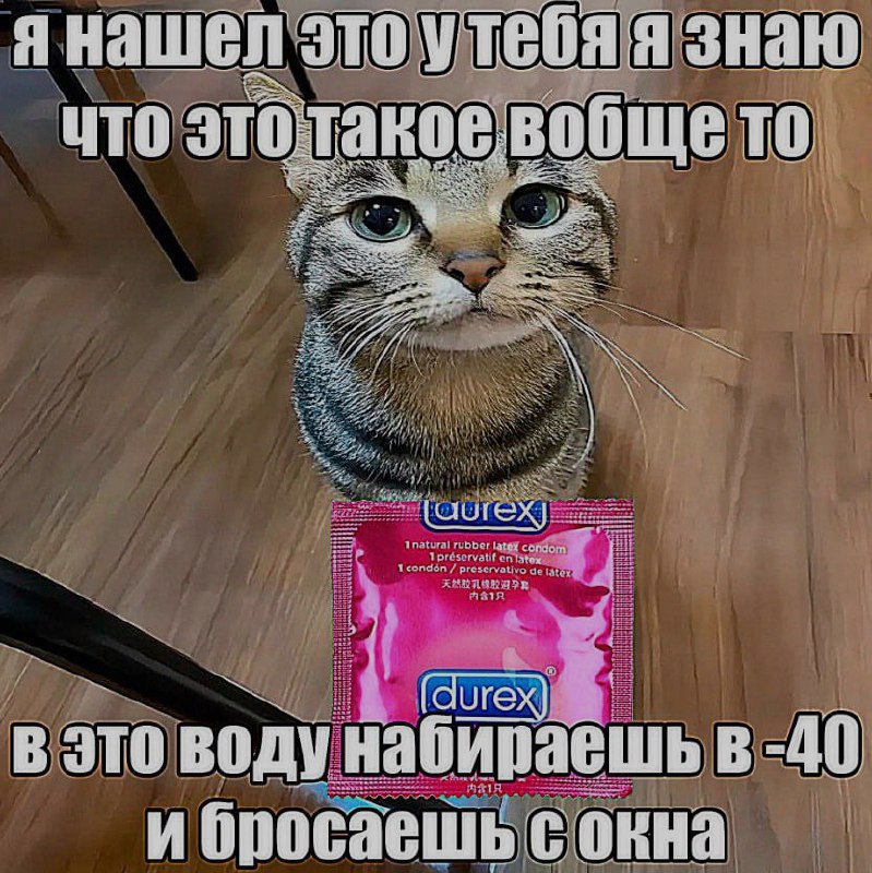 Ночная подборочка
Выходные, не спим