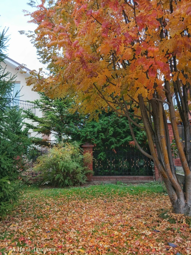 Несмотря на пасмурный октябрьский день четверга. ?
...