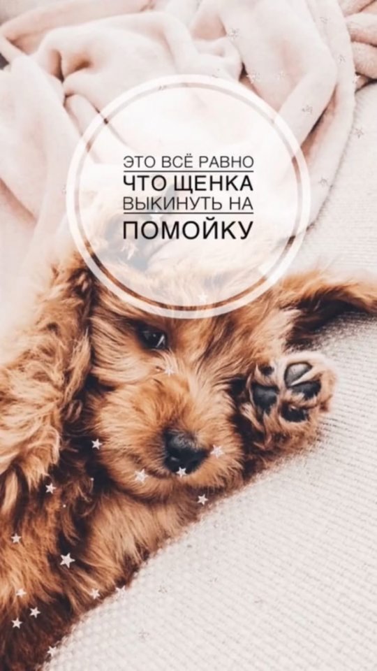 Типичные фразы родителей, после разрыва отношений😂
