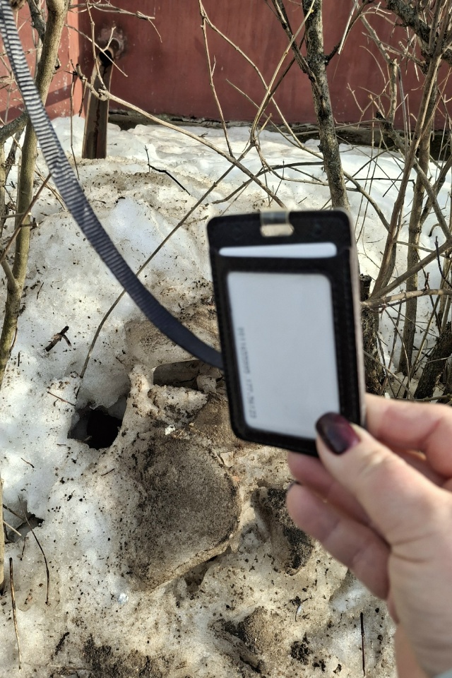 Чей? Пишите в лс.