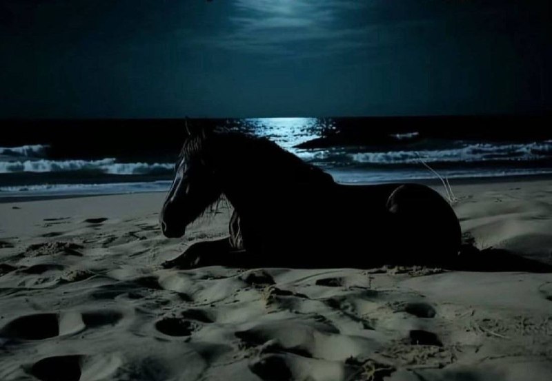 как ощущается ничего не
выкладывать в соцсети, когда
происходит что-то крутое