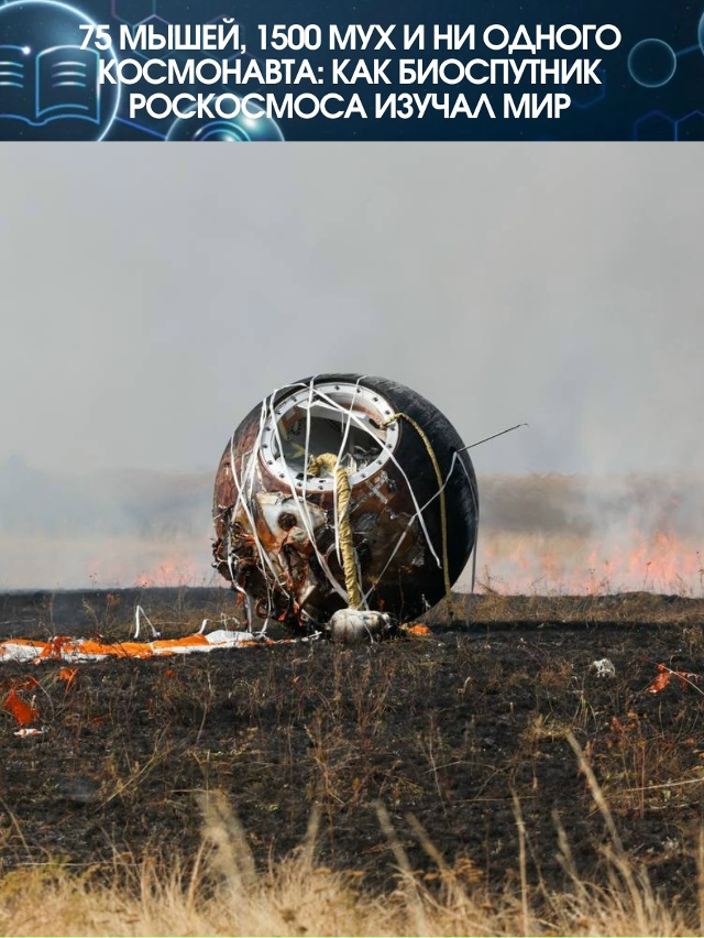 Если вы всё ещё считаете, что в космос летают только лю?...