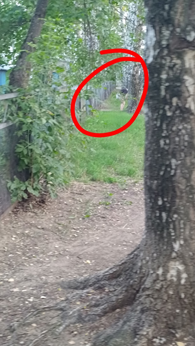 Наглядный пример отсутствия биотуалетов в городе. Жен?...